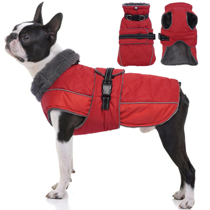 Premium Dog Winter Coat - Waterproof Adventure Jacket