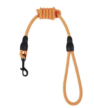 Nylon Dog Leash - Durable Woven Traction Belt with Harness