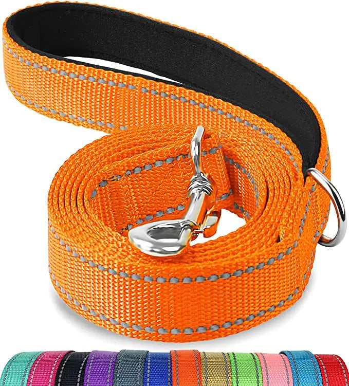 Reflective Dog Leash with Hand Grip - Night Safety Walking