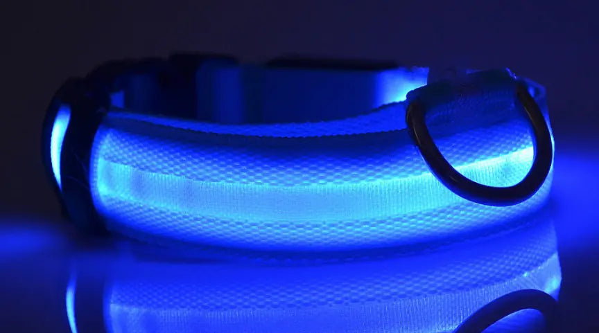LED Dog Collar - Rechargeable Light Up Pet Safety Collar
