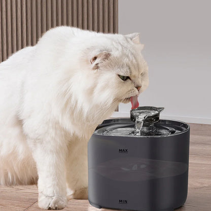 Premium Cat Water Fountain - Automatic Circulating Filter