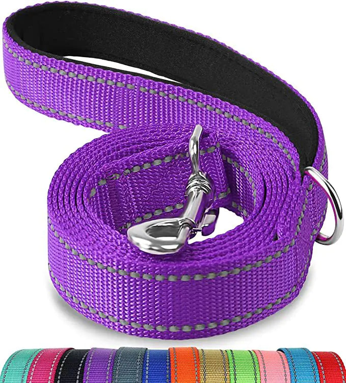 Reflective Dog Leash with Hand Grip - Night Safety Walking