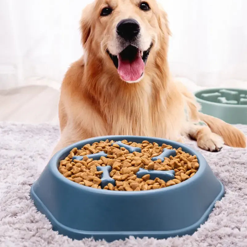 Slow Feeder Dog Bowl - Anti-Gulp Pet Feeding Solution