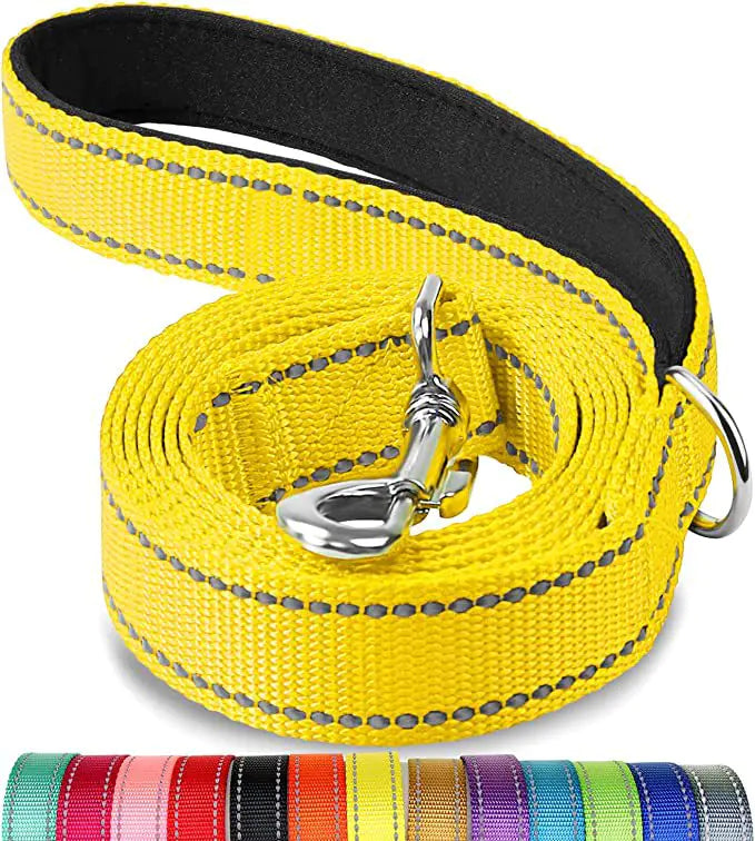 Reflective Dog Leash with Hand Grip - Night Safety Walking