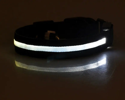 LED Dog Collar - Rechargeable Light Up Pet Safety Collar