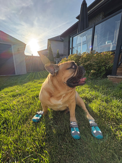 All Weather Dog Shoes - Waterproof Paw Protection Boots