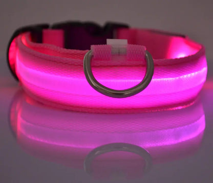 LED Dog Collar - Rechargeable Light Up Pet Safety Collar