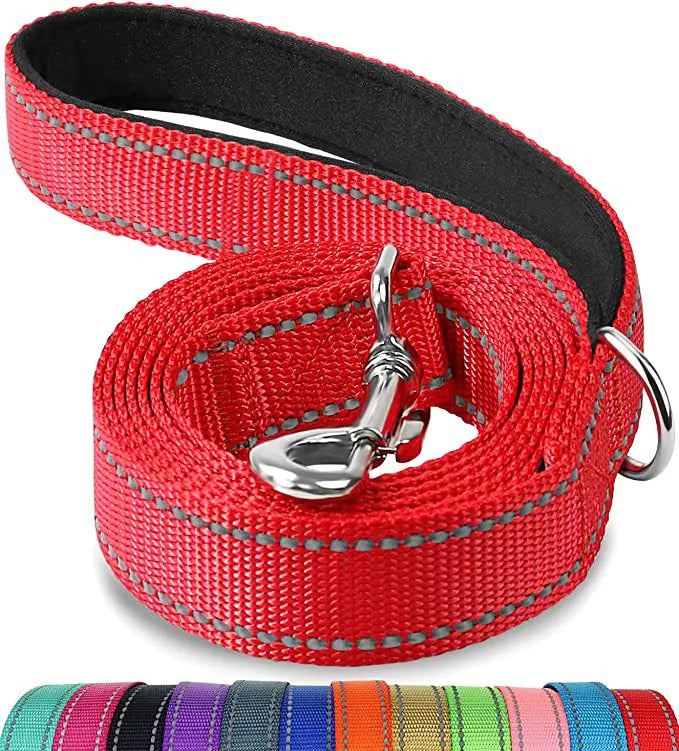 Reflective Dog Leash with Hand Grip - Night Safety Walking