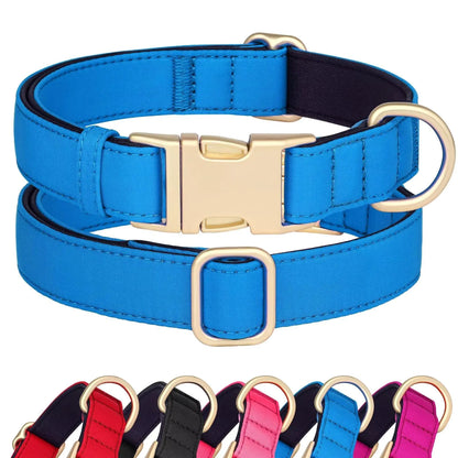 Soft Padded Dog Collar - Adjustable Waterproof Collar for Medium Dogs