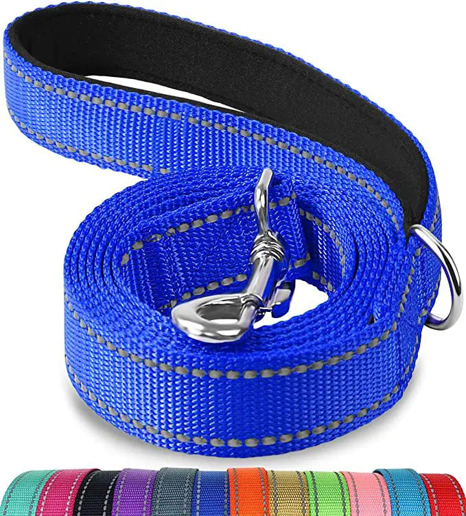 Reflective Dog Leash with Hand Grip - Night Safety Walking