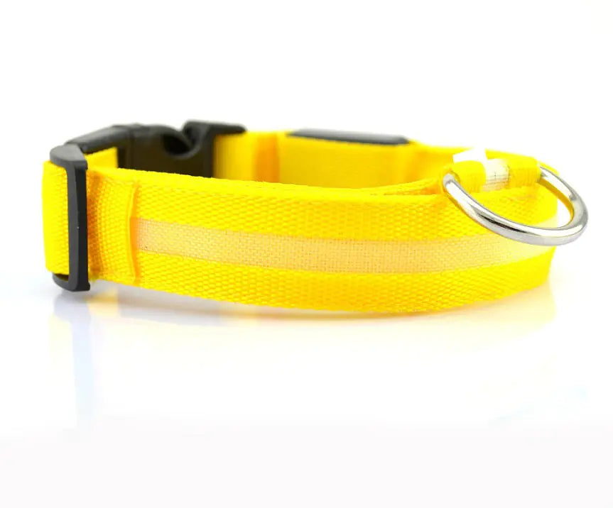 LED Dog Collar - Rechargeable Light Up Pet Safety Collar