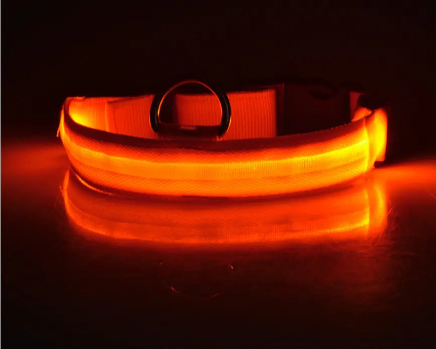 LED Dog Collar - Rechargeable Light Up Pet Safety Collar