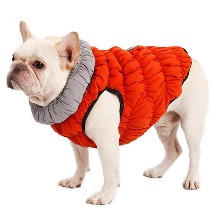 Dog Winter Jacket