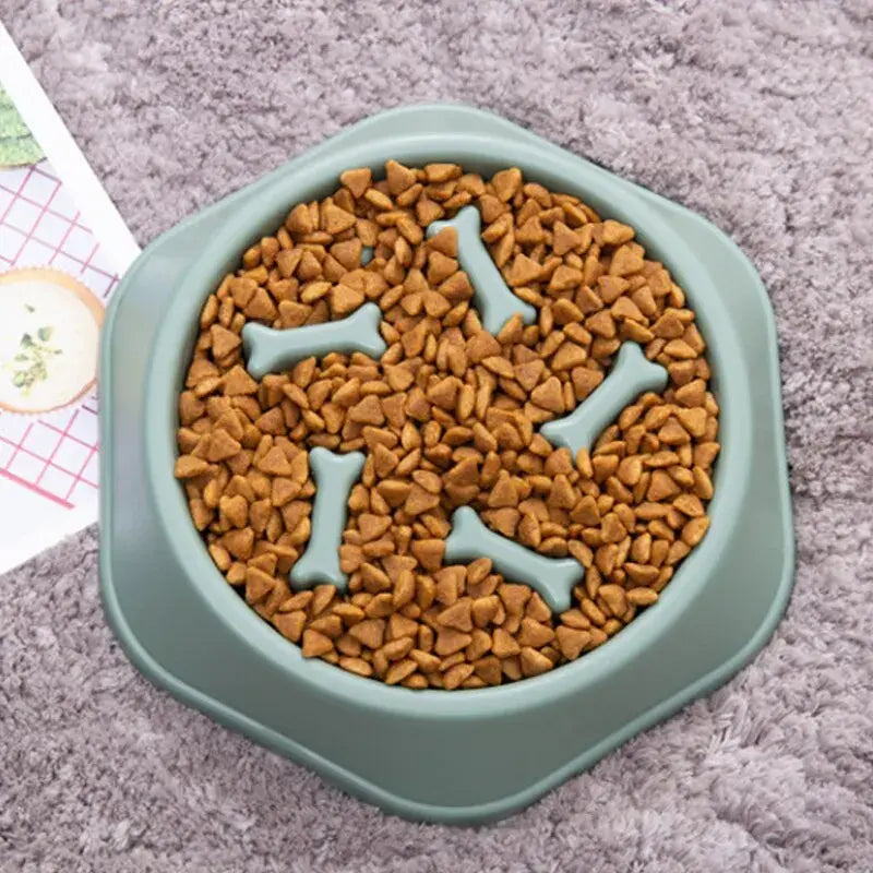Slow Feeder Dog Bowl - Anti-Gulp Pet Feeding Solution