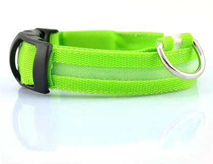 LED Dog Collar - Rechargeable Light Up Pet Safety Collar