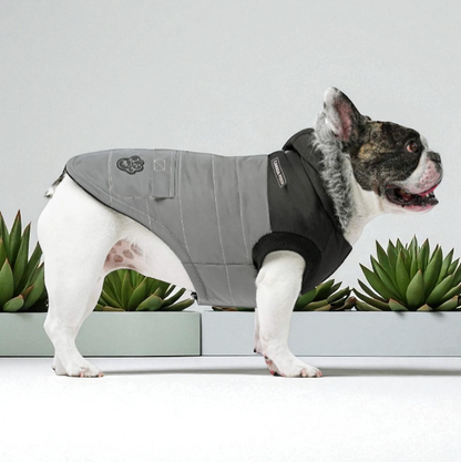Dog Winter Coat - Waterproof Insulated Parka