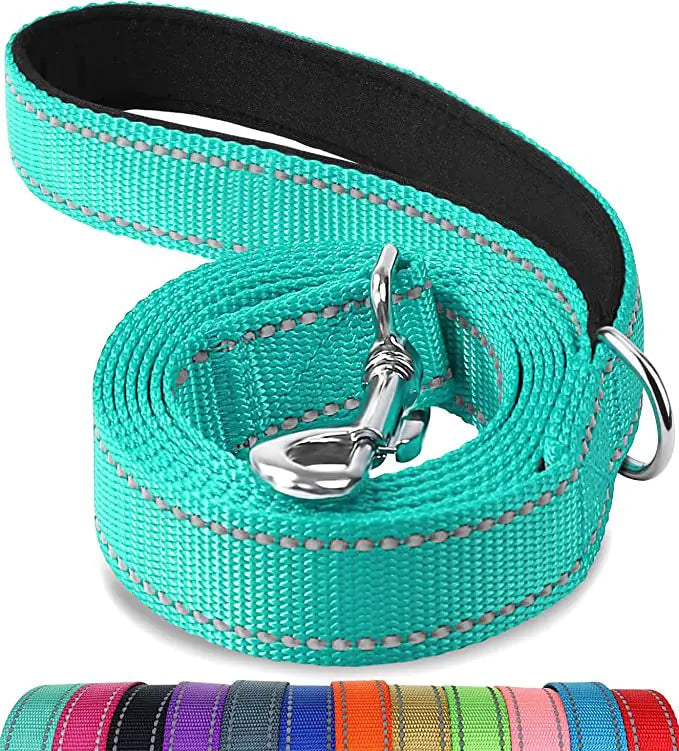 Reflective Dog Leash with Hand Grip - Night Safety Walking